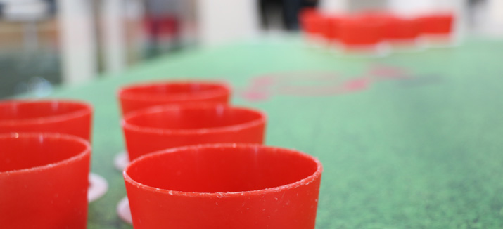 FOS clip-pong DACH+HOLZ